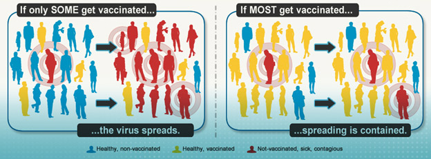 What is community immunity? - I Vaccinate